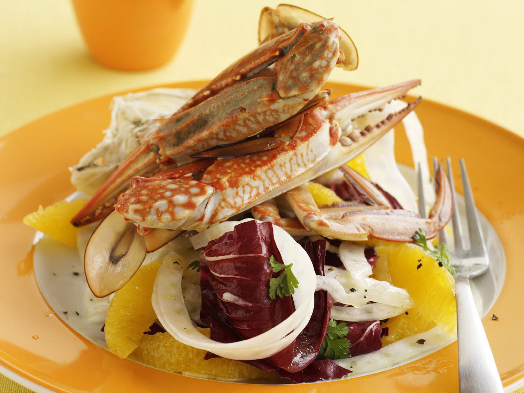 Crab with fennel salad